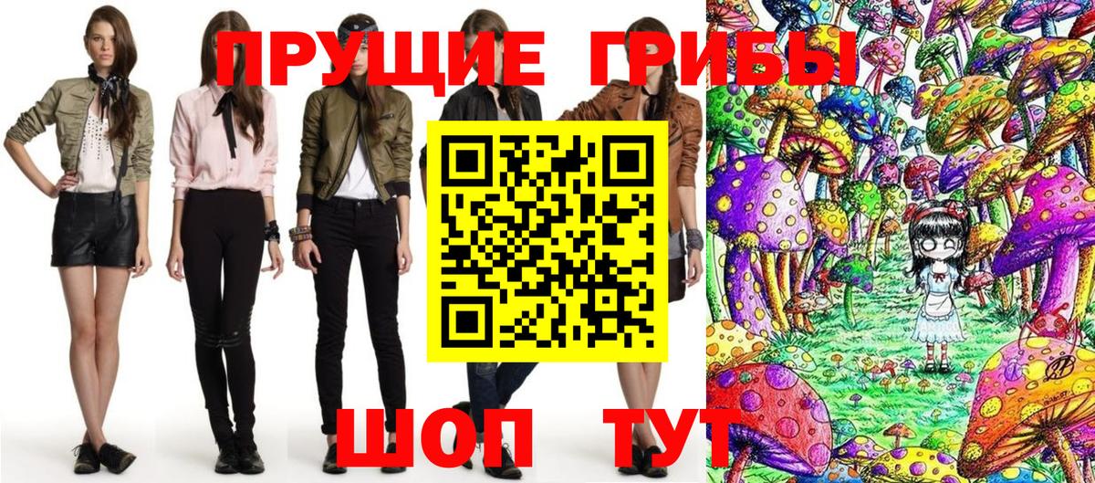 Кириши  Галлюциногенные грибы мицелий  Вход с VPN 